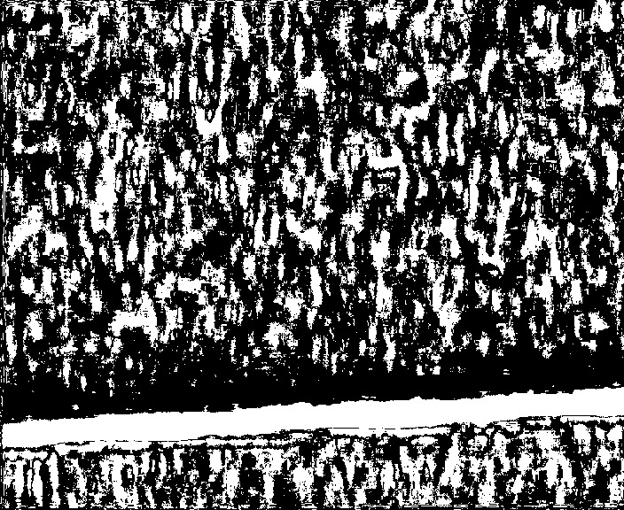 figure figures/cable-sd-zipf.jpg