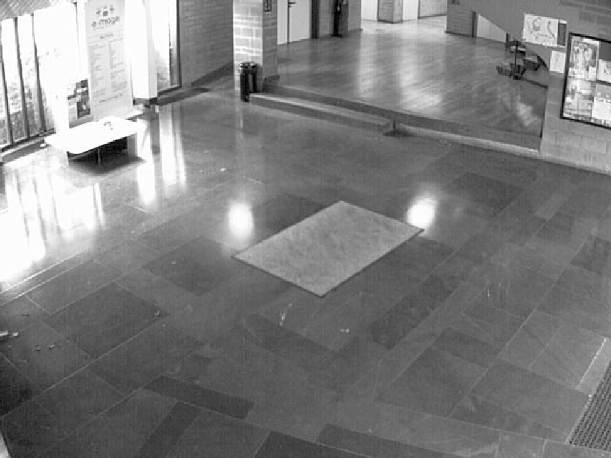 figure figures/carpette-1.png