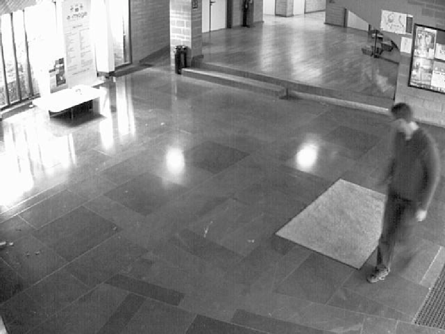 figure figures/carpette-3.png