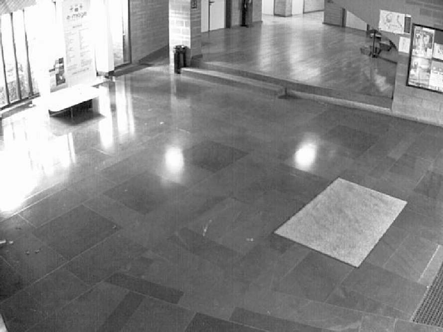 figure figures/carpette-4.png