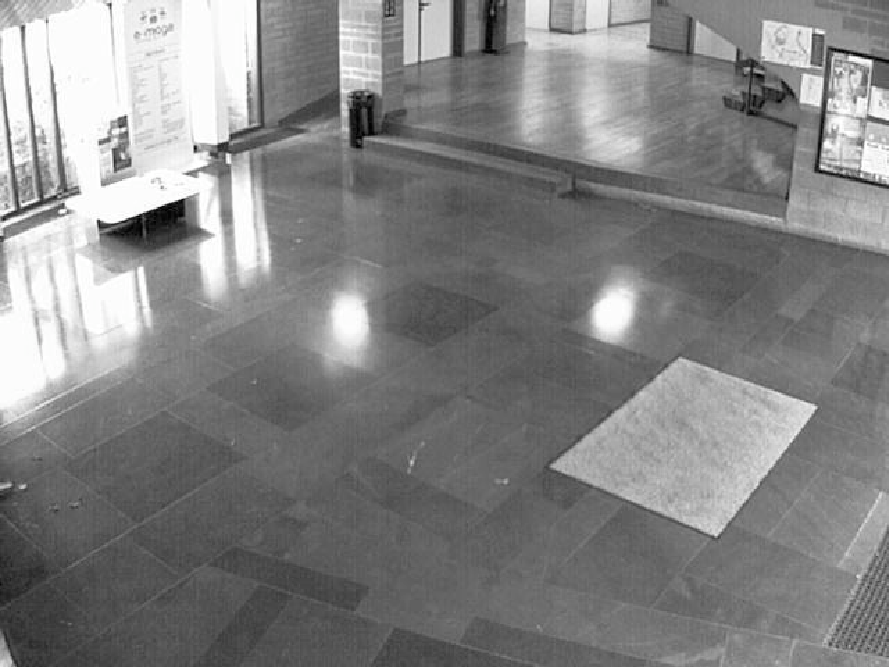 figure figures/carpette-7.png