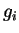 \( g_{i} \)