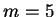 \( m=5 \)