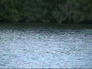 figure images/canoe-original-input000500.png