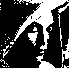 \resizebox*{2.4cm}{!}{\includegraphics{lenaLSB8.eps}}