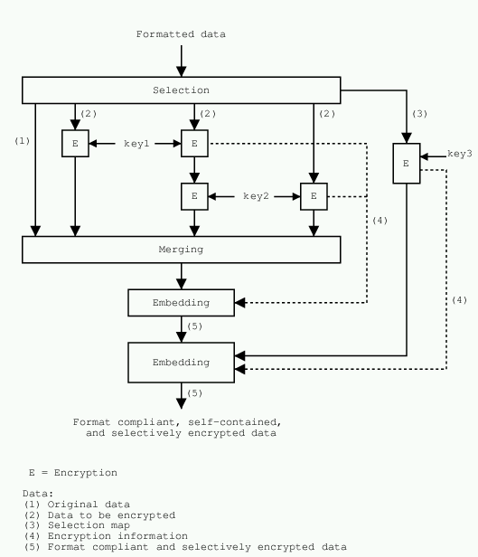 Generalized selective encryption scheme