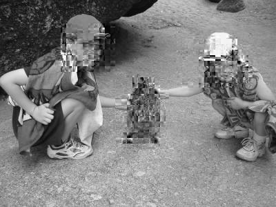 figure research-images/tablelands-locally.jpg