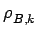 $ \rho_{{B,k}}^{}$