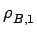 $\displaystyle \rho_{{B,1}}^{}$
