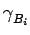 $ \gamma_{{B_{i}}}^{}$